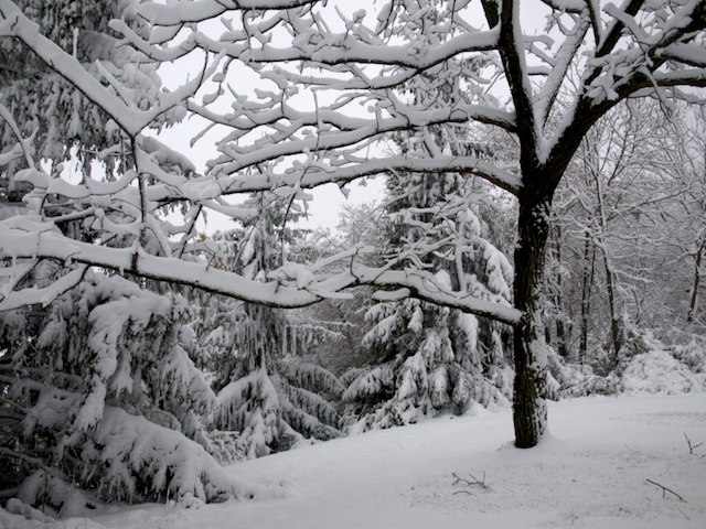 It is still snowing here