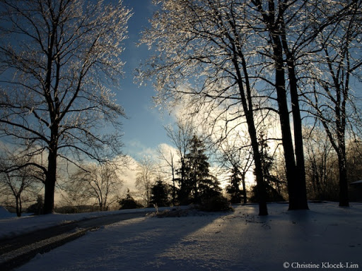 Busy beautiful winter