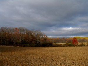 Autumn Sky Poetry 15, the Art Issue—now live!