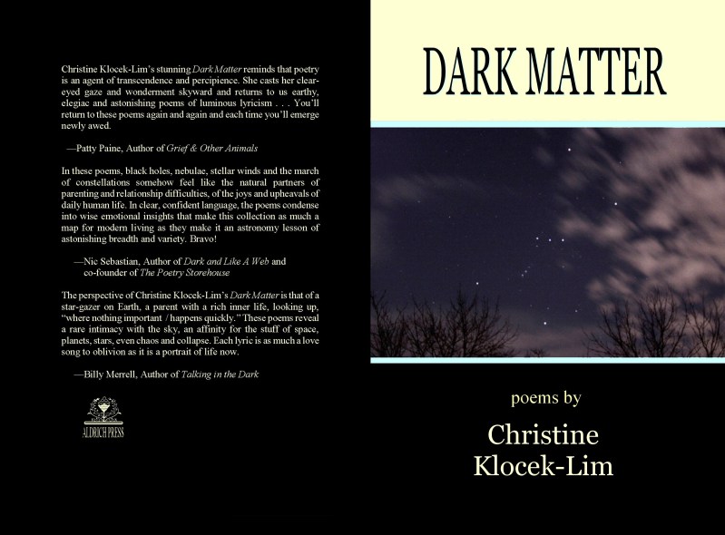 Dark Matter Back Small